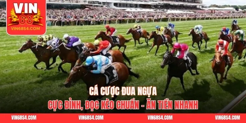 Cá Cược Đua Ngựa Cực Đỉnh, Đọc Kèo Chuẩn - Ăn Tiền Nhanh
